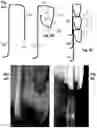 Fig. 15 - Reciprocating Ram-Based Methods for Forming Thermoplastic Articles Having Smooth Edges