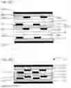 Fig. 03 - Methods for manufacturing thermoplastic liquid crystal polymer film and circuit board