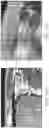 Fig. 25 - Assembly of flexible optical waveguides and photonic chips for optical interconnection packaging