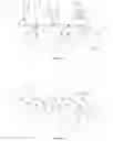 Fig. 03 - Process for bonding flexible films and device for carrying out the same