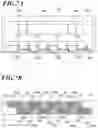 Fig. 07 - Inkjet head, method of manufacturing inkjet head, and inkjet recording method