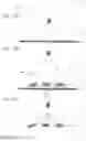 Fig. 12 - SECURITY ELEMENT AND METHOD FOR PRODUCING A SECURITY ELEMENT