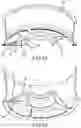 Fig. 11 - DELTA WHEEL
