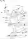 Fig. 79 - Working machine