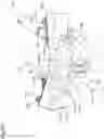 Fig. 83 - Working machine