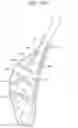 Fig. 19 - Seat frame