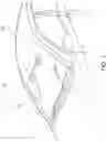 Fig. 02 - In-vehicle camera fixing structure and casing attaching method