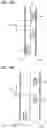 Fig. 06 - Method and Apparatus for Predicting Specification Motion of Other Vehicle