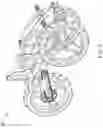 Fig. 08 - Hybrid pump-action vehicle and therapy device