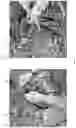 Fig. 10 - PORTABLE CONTAINER FOR COLLECTING AND DISPOSING OF GARBAGE AND WASTE