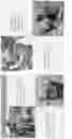 Fig. 29 - PORTABLE CONTAINER FOR COLLECTING AND DISPOSING OF GARBAGE AND WASTE