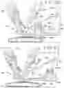 Fig. 26 - LIFT CRANE WITH IMPROVED MOVABLE COUNTERWEIGHT
