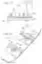 Fig. 43 - LIFT CRANE WITH IMPROVED MOVABLE COUNTERWEIGHT