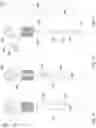 Fig. 10 - Fluid filling systems and methods