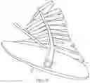 Fig. 05 - Saddle and saddle pad with morphing interface