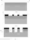 Fig. 01 - STABLE LIPID BILAYERS ON NANOPORE ARRAYS