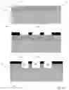 Fig. 04 - STABLE LIPID BILAYERS ON NANOPORE ARRAYS