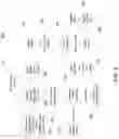 Fig. 09 - STABILIZED AND NO2-INHIBITED NITRIC OXIDE GENERATING GELS FOR INHALED NITRIC OXIDE THERAPY