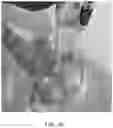 Fig. 18 - STABILIZED AND NO2-INHIBITED NITRIC OXIDE GENERATING GELS FOR INHALED NITRIC OXIDE THERAPY