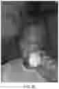 Fig. 25 - STABILIZED AND NO2-INHIBITED NITRIC OXIDE GENERATING GELS FOR INHALED NITRIC OXIDE THERAPY