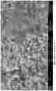 Fig. 03 - PROCESS FOR PRODUCING NANO PRECIPITATED CALCIUM CARBONATE