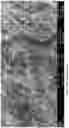 Fig. 04 - PROCESS FOR PRODUCING NANO PRECIPITATED CALCIUM CARBONATE