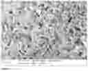 Fig. 03 - PROCESS FOR THE PREPARATION OF BISMUTH SODIUM TITANATE