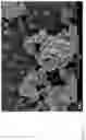 Fig. 04 - Preparation of metal chalcogenides