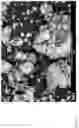 Fig. 07 - Preparation of metal chalcogenides