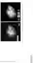 Fig. 35 - Preparation of metal chalcogenides