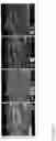 Fig. 36 - Preparation of metal chalcogenides