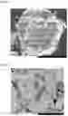 Fig. 02 - Positive Electrode Active Material for Lithium Secondary Battery and Method for Preparing Said Positive Electrode Active Material