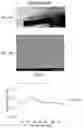 Fig. 21 - Glasses and glass-ceramics and methods of making them
