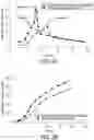 Fig. 05 - 3D printable portland limestone clay-based mortar utilizing locally available materials