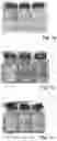 Fig. 02 - Fire resistant interlayer