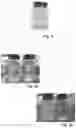Fig. 05 - Fire resistant interlayer