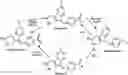 Fig. 01 - Derivatives of sulindac can protect normal cells against oxidative damage