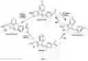 Fig. 02 - Derivatives of sulindac can protect normal cells against oxidative damage