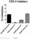 Fig. 06 - Derivatives of sulindac can protect normal cells against oxidative damage