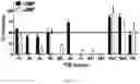 Fig. 09 - Derivatives of sulindac can protect normal cells against oxidative damage
