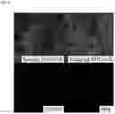 Fig. 06 - Cationic lipids and transfection methods