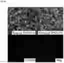 Fig. 07 - Cationic lipids and transfection methods