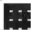 Fig. 11 - Cationic lipids and transfection methods