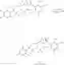 Fig. 30 - Deuterated Forms And Derivatives Of Volinanserin