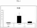 Fig. 04 - LIVER X RECEPTOR (LXR) MODULATORS