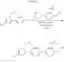 Fig. 25 - LIVER X RECEPTOR (LXR) MODULATORS