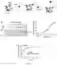 Fig. 16 - Reagents and methods for tetrazine synthesis