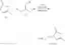 Fig. 10 - Use of functionalized alpha-angelica lactones