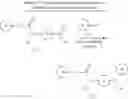 Fig. 155 - MODULATORS OF THE INTEGRATED STRESS PATHWAY