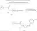Fig. 160 - MODULATORS OF THE INTEGRATED STRESS PATHWAY